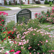 Elyria Fence's photo