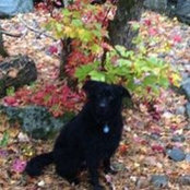 Foto von Janice Bradd