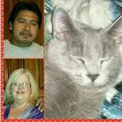 Foto de Timma Williams