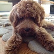Ashley Feldman's photo