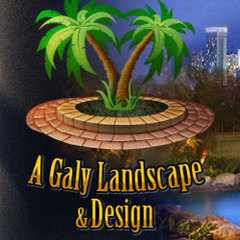 A Galy Landscape and Design