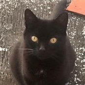 Phil Hall's photo