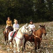 Foto von Stewart Farm