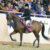 Charlene Lee's photo