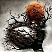 Tenzin Norzom's photo