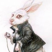 Leslie Di Marcoccio's photo