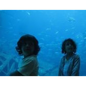Mohammad Al-Shaikh's photo