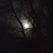 Sherri Johnson's photo