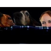 Foto de Caitlin PB

