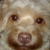 Marcia Moraes's photo