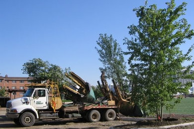 This is an example of a landscaping in Toronto.