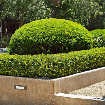Terrace Tract Home Garden