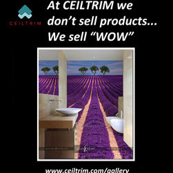 The "WOW" Series 26 - 50 - Products