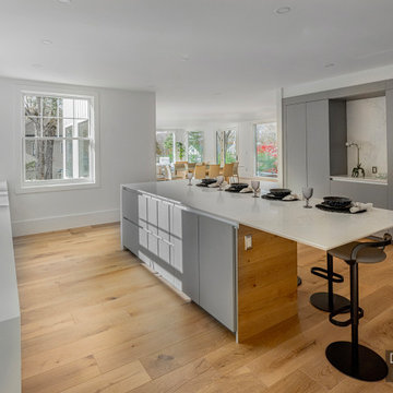 Clean, Modern Grey Kitchen in Lexington, MA
