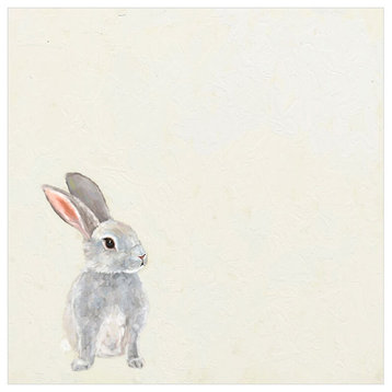 "Soft Gray Bunny" Canvas Wall Art by Cathy Walters