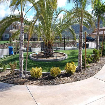 Concrete Driveway