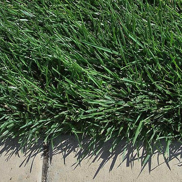 RTF® Water Saver Sod can use 30% less water in landscapes.