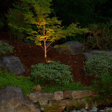 Water in the garden