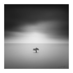 Lightness of Being &ndash; INCEPTION - Photographs