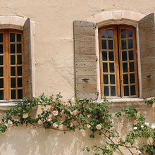Fleurs: Cutting Room