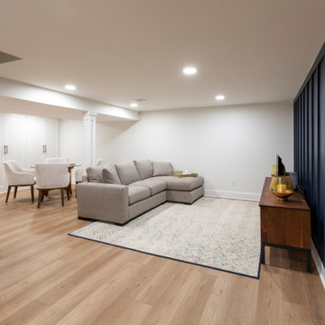 Carteret Trail Basement - Basking Ridge, NJ