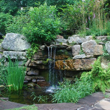 Water Feature