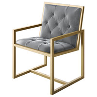 Cole Modern Gold Metal Contemporary Chair, Gray Velvet Seat