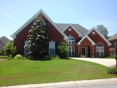 Shrub Or Very Small Tree For Front Of House