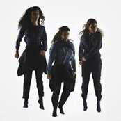 Laurence Cantillon's photo