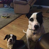 Gina McClendon's photo