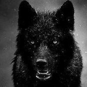Billy Mangino's photo