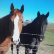 Gina Linv's photo