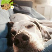 Sara Arizzoli's photo