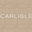 Carlisle Wide Plank Floors