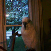 Kerry Clady's photo