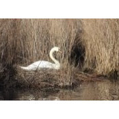 Chris Moore's photo