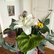 Foto von sharhally