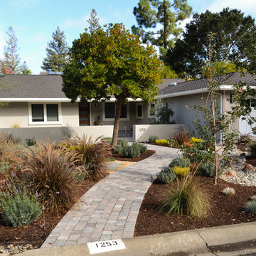 Modern Desert Style: a Water-Wise Front Yard Patio & Garden