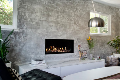 Living room - contemporary living room idea in San Francisco