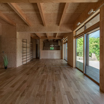 Pegmatite -晶洞の家-