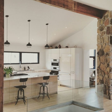 Caledon Mountain Home - Industrial Farmhouse