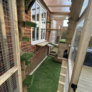 Catio build