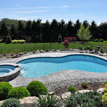 Freeform Salt Water Pool with Raised Spa