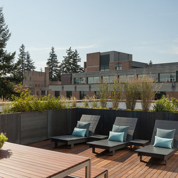 Corten Steel Planters Roof Deck Portland