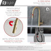 STYLISH Kitchen Sink Faucet Single Handle Pull Down Dual Mode Brushed Gold