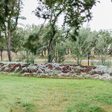 Dripping Springs