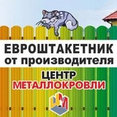 Фото профиля: Металлический штакетник (Евроштакетник) для забора