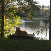 Chris Shumway's photo