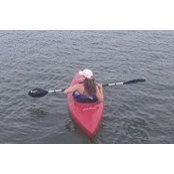 Laura Wolf's photo