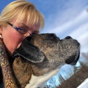 Cynthia Steele's photo